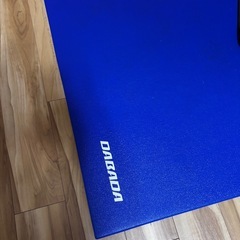 【トランポリン】手すり付き・カバーなし(フロアマット付き)の画像