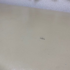 昇降式 電動ベットの画像