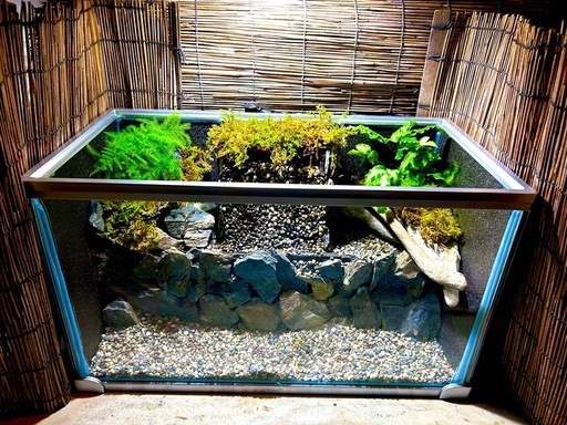 水の流れる滝テラリウム水槽　苔テラリウム