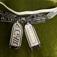 すがわら幼稚園　リボンの画像