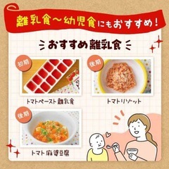 【取引中】離乳食 濃縮トマトペーストの画像