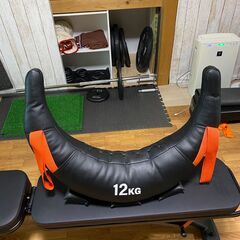 リンドスポーツ　ブルガリアンサンドバックの画像