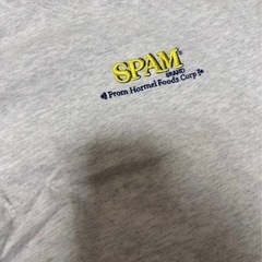 【美品】キッズTシャツ100センチの画像