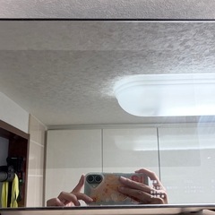 電子れんレンジの画像