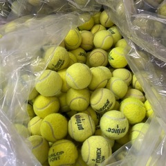 中古テニスボールまとめ
の画像