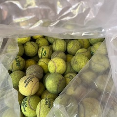 中古テニスボールまとめ
の画像