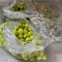 中古テニスボールまとめ
の画像