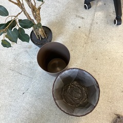 A2511-074 人工観葉植物 ベンジャミン クワ科 ゴムノキ シダレガジュマル 幸福の木 鉢植え 鉢付き キズ汚れ有り の画像