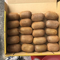 【定型文の方には返信いたしません】キウイフルーツ  １キロの画像