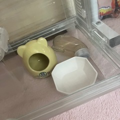 ハムスターゲージ グラスハーモニー360の画像