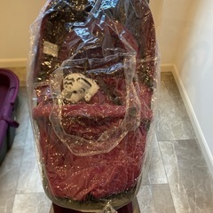 ストッケ　ベビーカー　付属品もありの画像