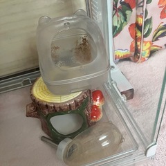 ハムスターゲージ グラスハーモニー360plusの画像