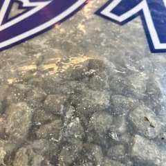 K2511-075 砂利① 小粒 20キロ 外構 園芸 防犯対策 雑草対策  未使用品 保管キズ汚れ有りの画像