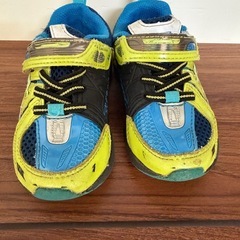 瞬足15センチの画像