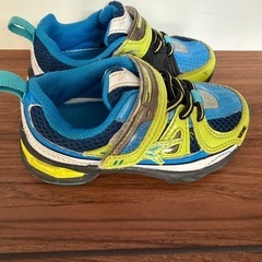 瞬足15センチの画像