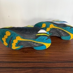 瞬足15センチの画像