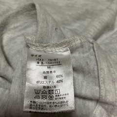 Ｔシャツの画像