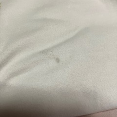 Ｔシャツの画像