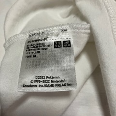 Ｔシャツの画像
