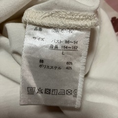 Ｔシャツの画像