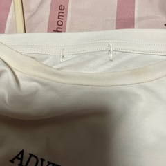 Ｔシャツの画像