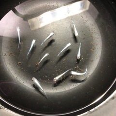 幹之みゆきメダカ🐟若魚10匹の画像