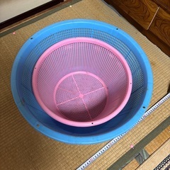 大きなざる　カゴの画像