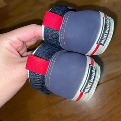 ミキハウス　14.5cmの画像