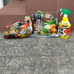 土入りのプランターの画像