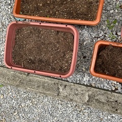 土入りのプランターの画像