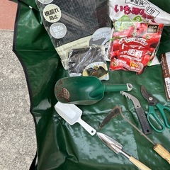 土入りのプランターの画像