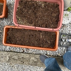 土入りのプランターの画像