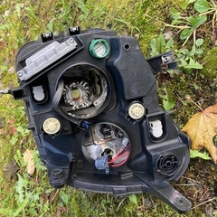 アルファロメオミトクアドリフォリオヴェルデ左ヘッドライトの画像