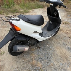 実動・書類有　ホンダ ライブディオ  AF34型の画像