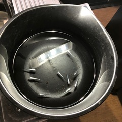 幹之みゆきメダカ🐟若魚10匹の画像