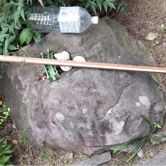 庭石大きい
の画像