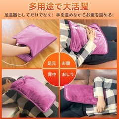 新品！電気足温器 電気 フットウォーマー 丸洗い可足元ヒーター ホットマット 省エネ 電気毛布の画像