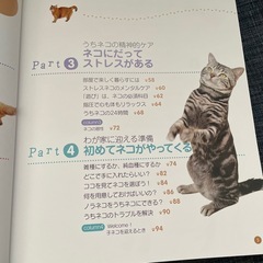 はじめてのネコ飼い方きつけ方猫の教科書保護猫ペットショップの画像