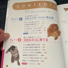 はじめてのネコ飼い方きつけ方猫の教科書保護猫ペットショップの画像