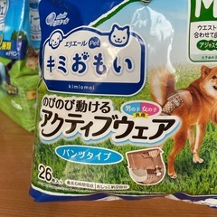 ペット紙パンツ アクティブウェア 共用25枚の画像