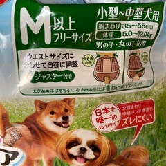 ペット紙パンツ アクティブウェア 共用25枚の画像