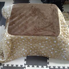 遠赤外線ネコ用こたつの画像