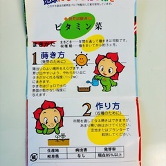 ビタミン菜セット🍀の画像