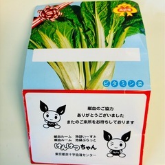 ビタミン菜セット🍀の画像