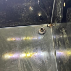 ガラス　水槽の画像