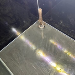 ガラス　水槽の画像