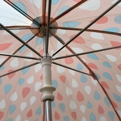 ブランシェス・傘の画像