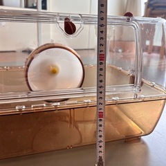 三晃商会 ハムスターケージ ルーミィ ブラウンの画像