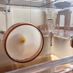 三晃商会 ハムスターケージ ルーミィ ブラウンの画像