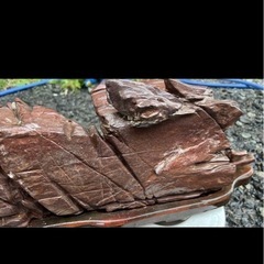 鑑賞石　骨董　石の画像